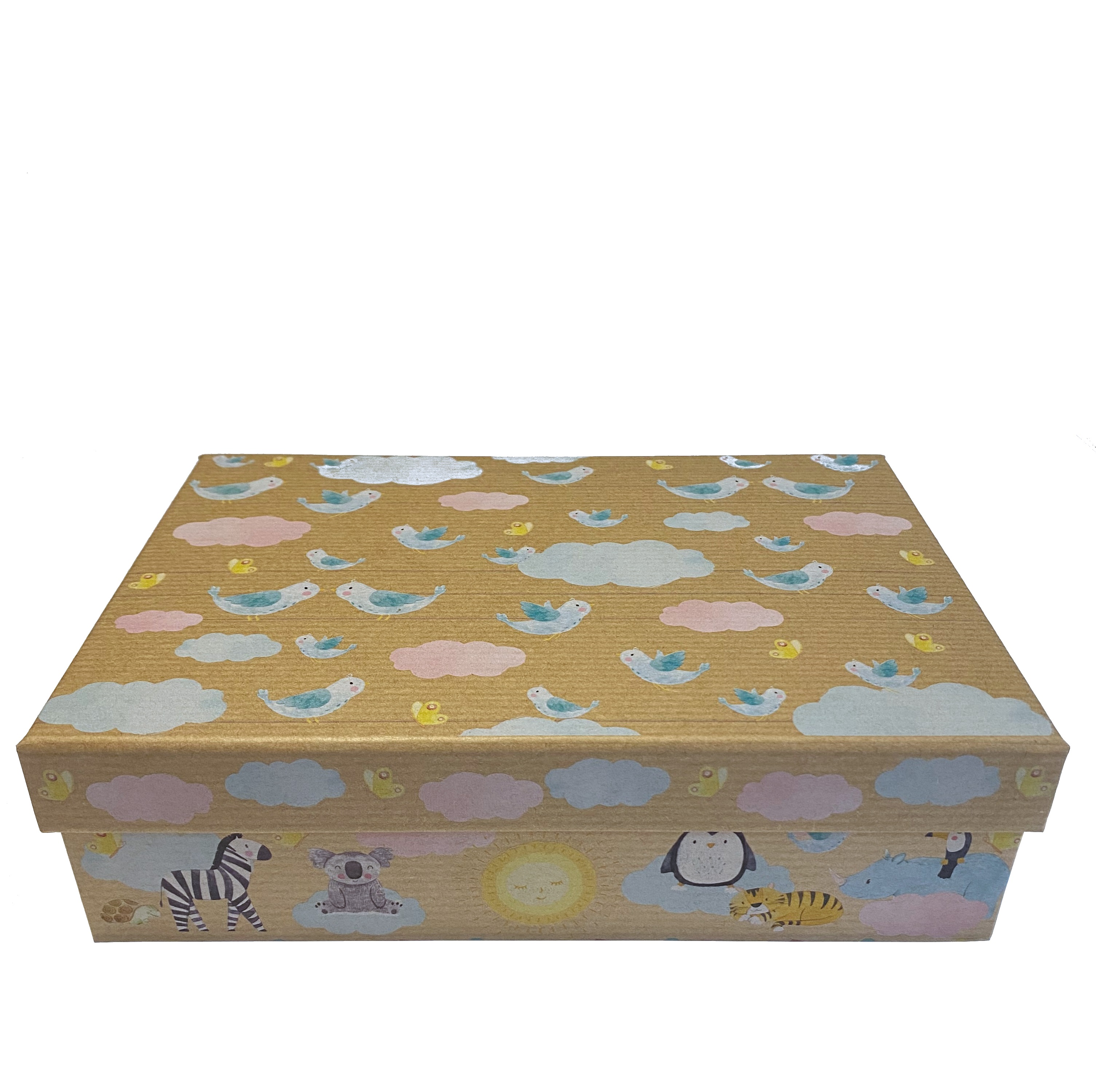 Kartonová krabice Obláčky - 22 cm