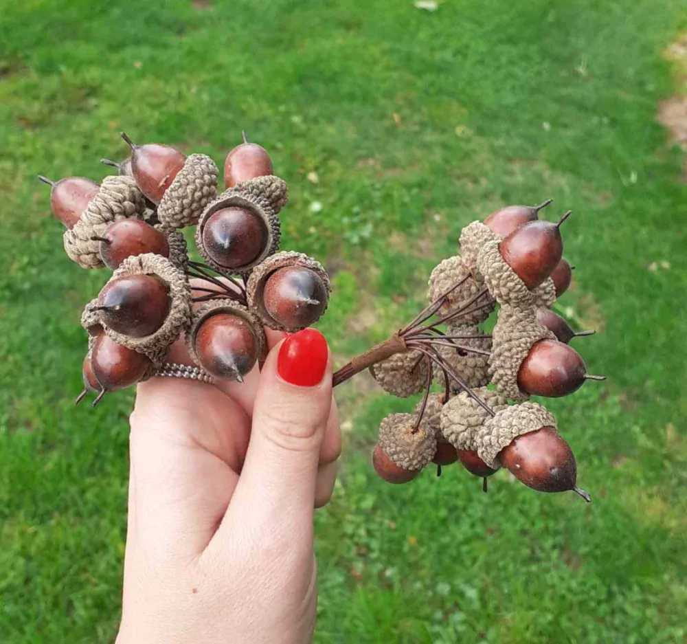 Svazek umělé žaludy hnědé 12 ks