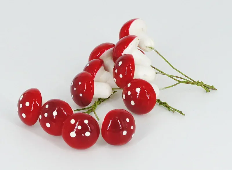 Svazek muchomůrky červené 12 ks