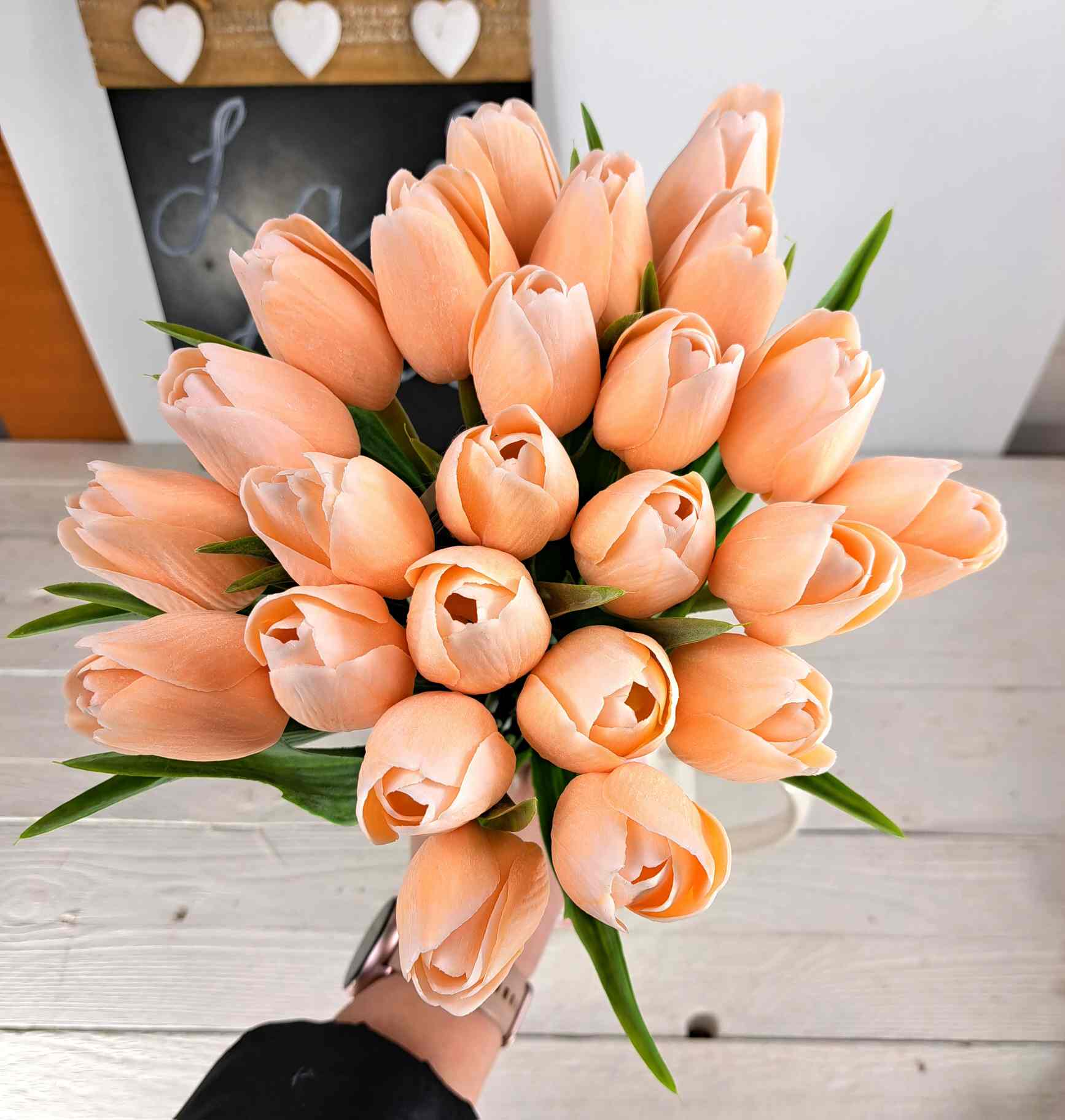 Tulipán - 1 ks - broskvový světlejší