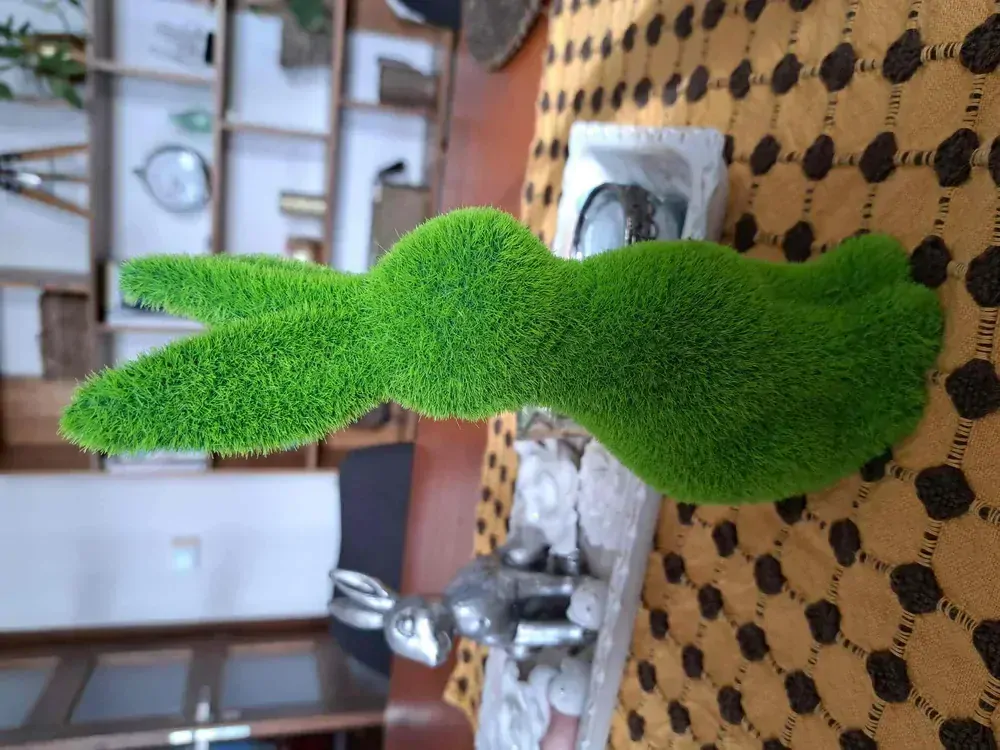 Zajíc na postavení 21 cm 