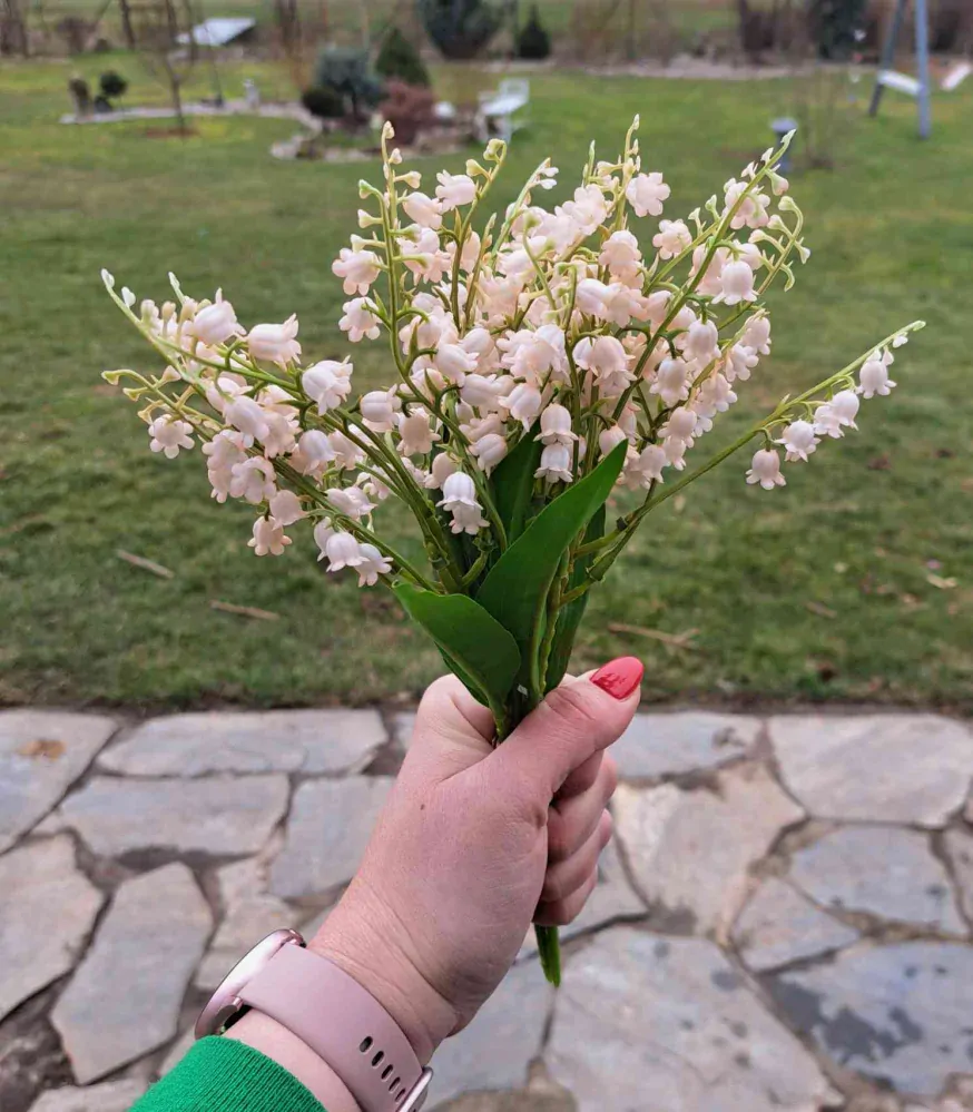 Konvalinky bílá s béžovým nádechem