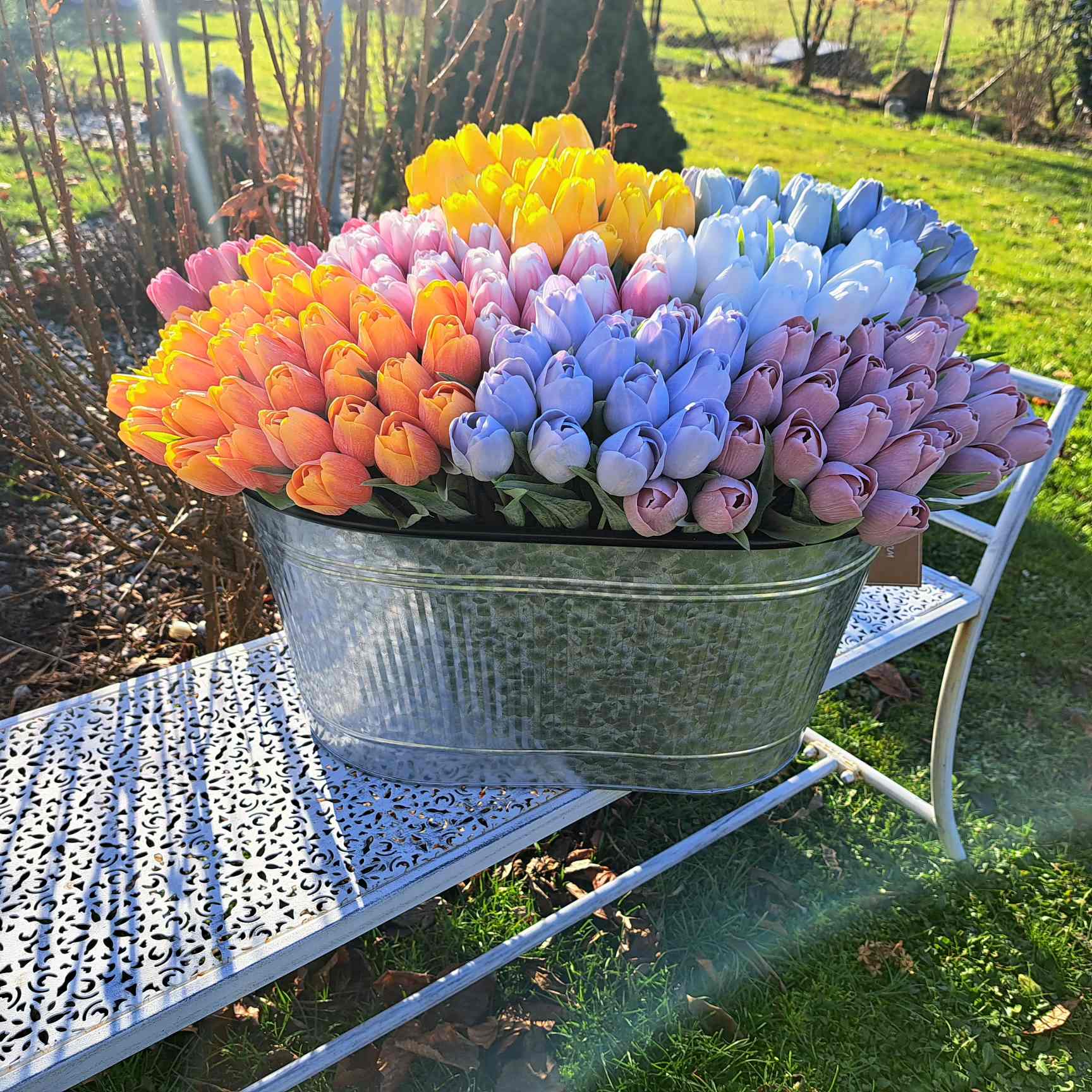 Tulipán - 1 ks - šedý