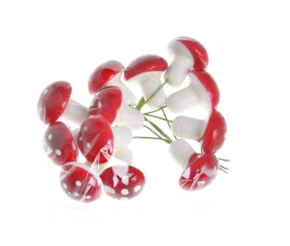 Svazek muchomůrky červené 12 ks